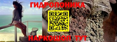 молекула духа Заводоуковск