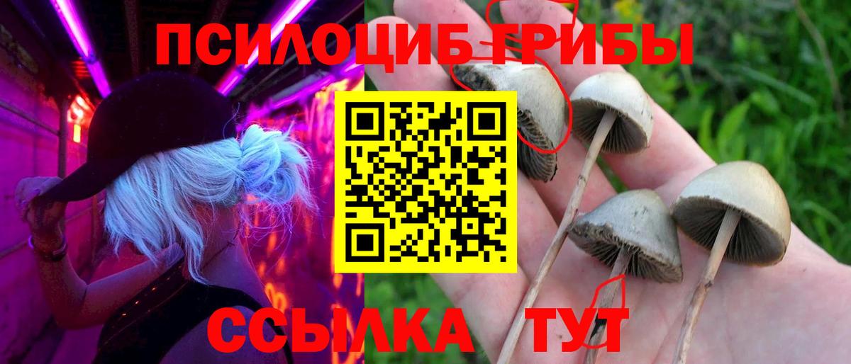 Лесосибирск  Галлюциногенные грибы прущие грибы  Вход с VPN  Псилоцибиновые грибы Cubensis 